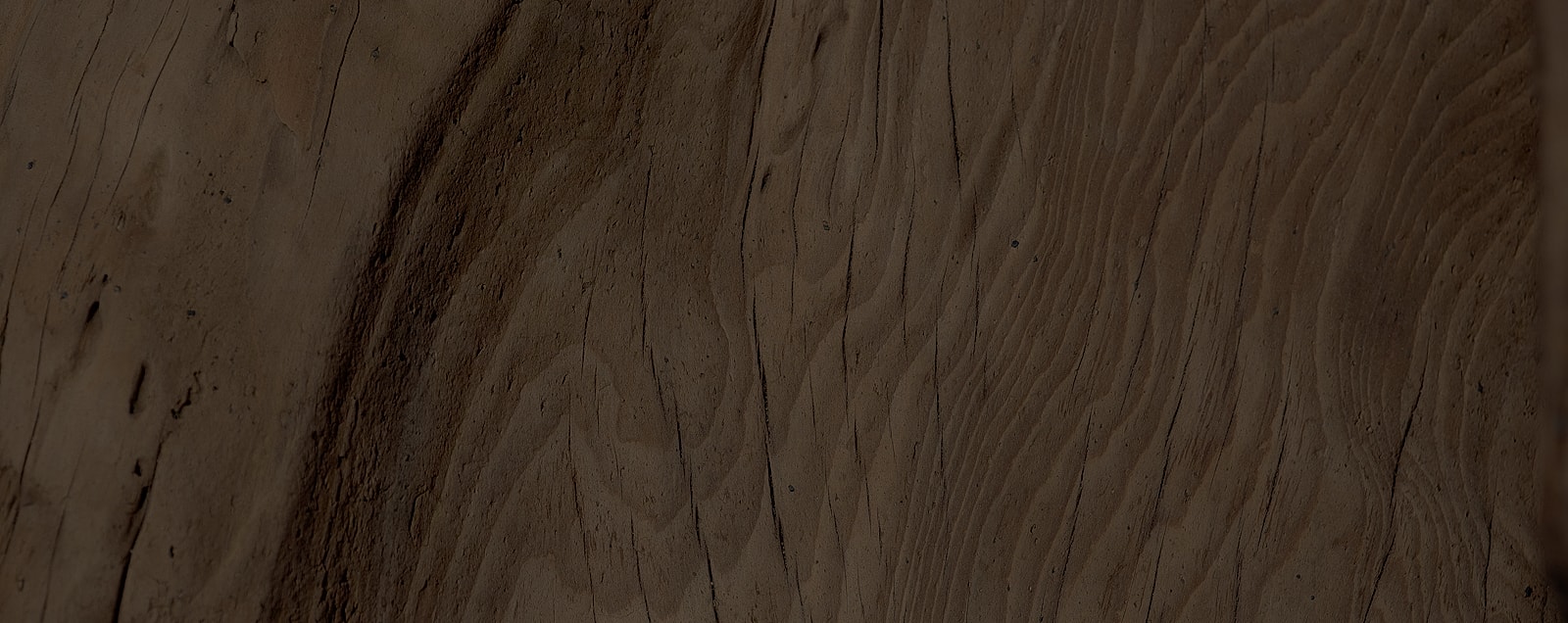 Close-up of dark, textured wooden surface.